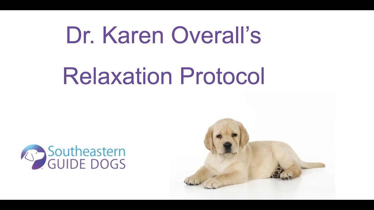 Relaxation Protocol Day 4