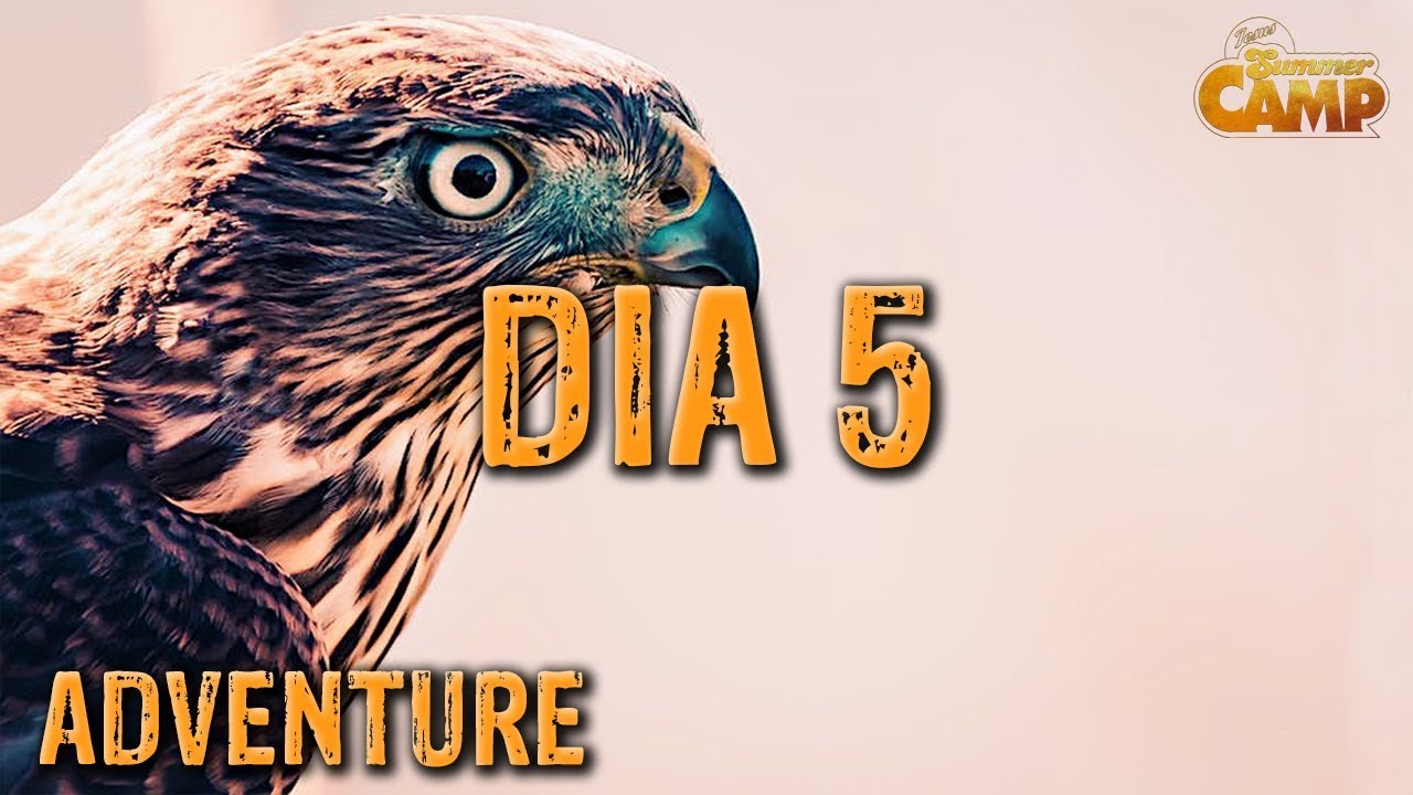 #5 - JESUS SUMMER CAMP 2019 - ADVENTURE / By Cepitta