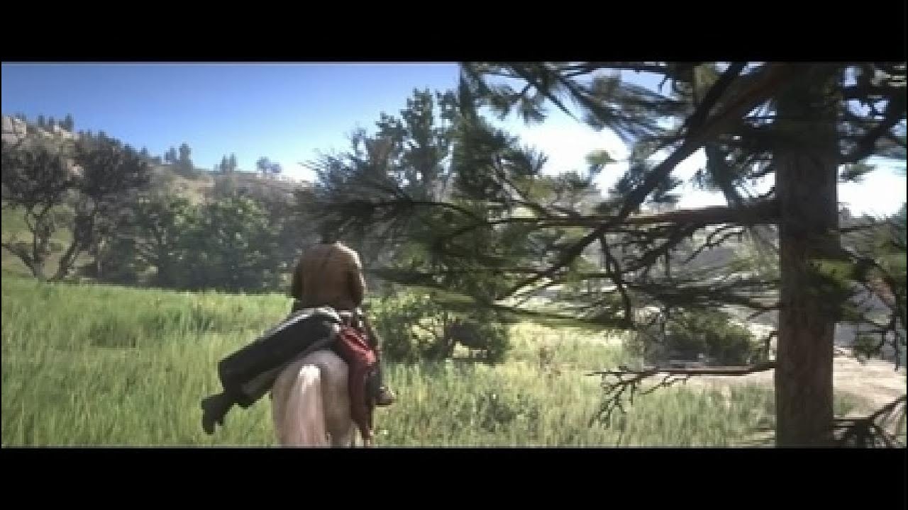 Red Dead Redemption 2_20260203222354