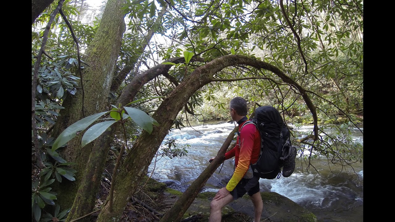 Cohutta Wilderness Penitentiary Branch and Jacks River Trail Overnight Part 2