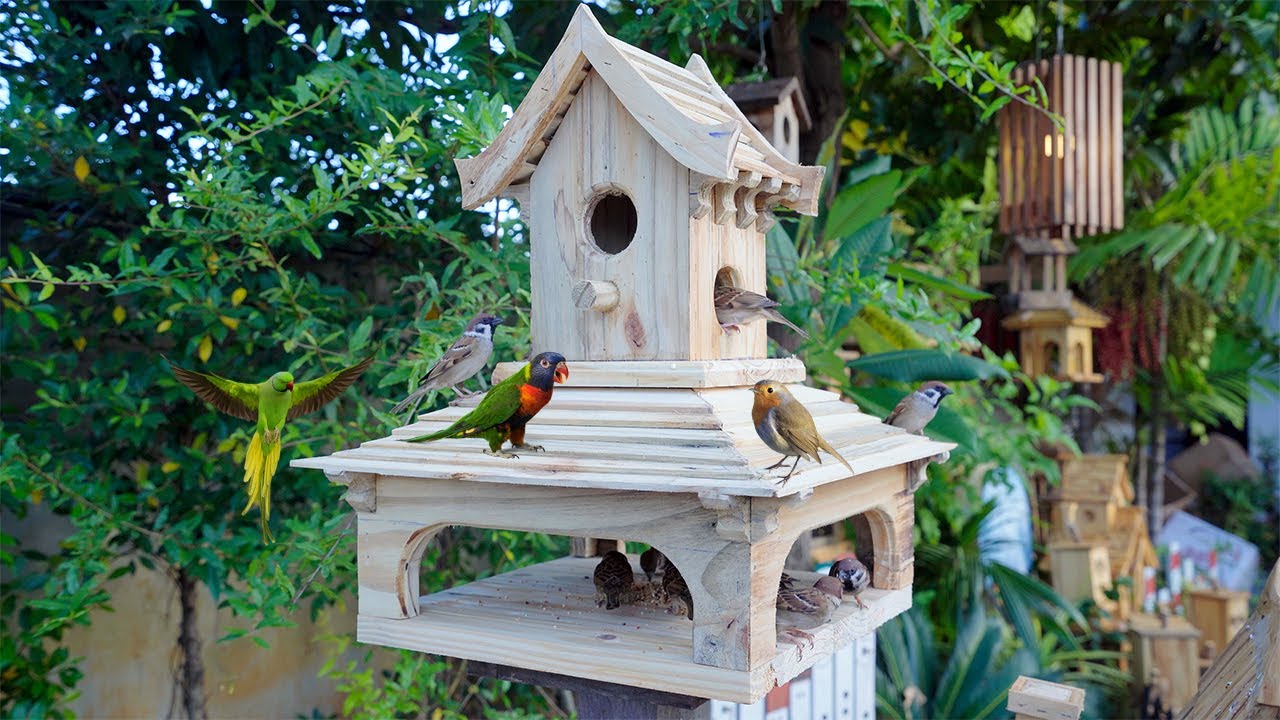 Build Most Modern Wooden Castle Bird House Bird Feeder and Feeding the Birds