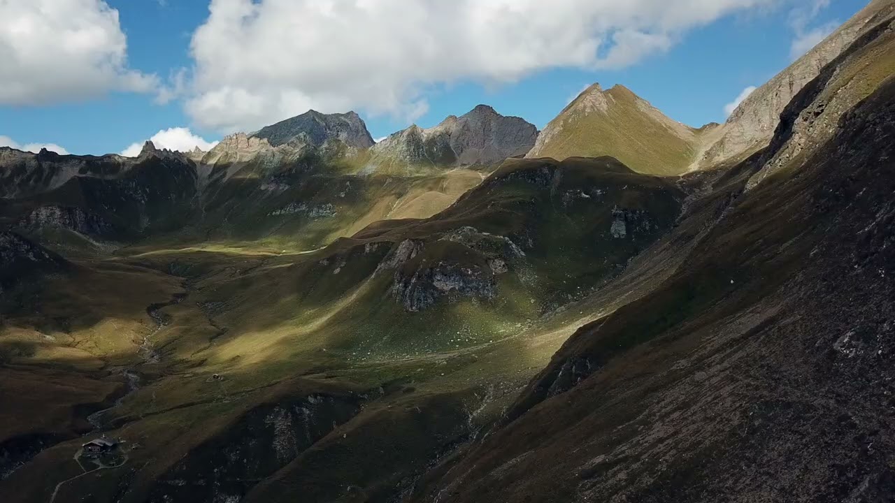 Doggi - es edelweiss verbliat