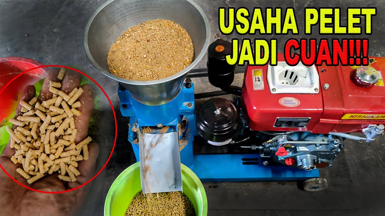 Mesin pelet pakan ternak || Mahkota MPM-150 B