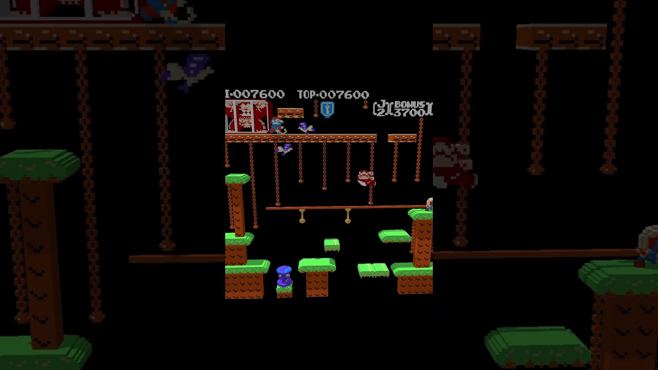Donkey Kong Jr. NES in 3D