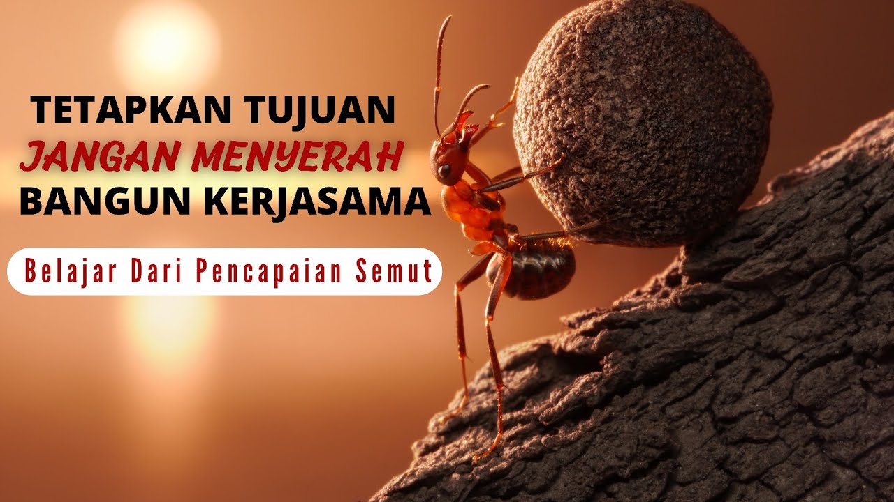 Video Motivasi: Belajar Dari Semut