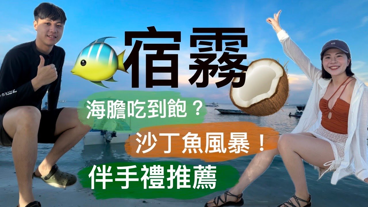 ✨宿霧薄荷島Vlog來啦❗6天5夜行程全紀錄🧳浮潛跳島(資生堂島)🌊海龜陪游🐢眼鏡猴超可愛🙊海膽爆吃🍴