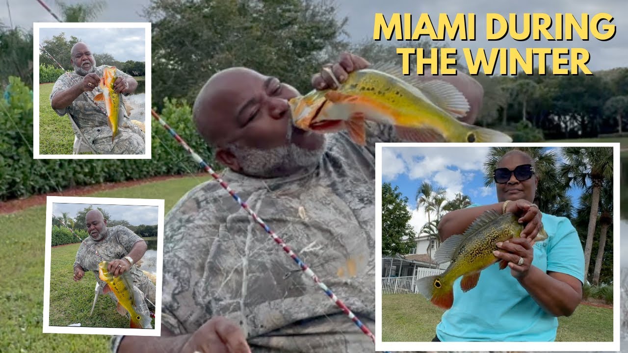 MIAMI DURING THE WINTER #fishing #peacockbass #bassfishing #fypyoutube #fyp #miami #miamifishing