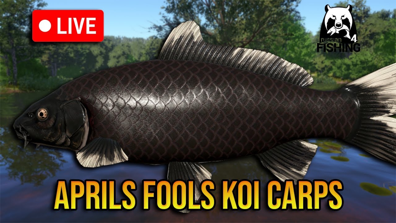 Trophy Rate Increased 100 % 🎣  Russian Fishing 4