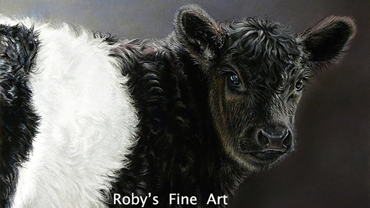 Belted Galloway Calf Pastel Demonstration by Roberta 