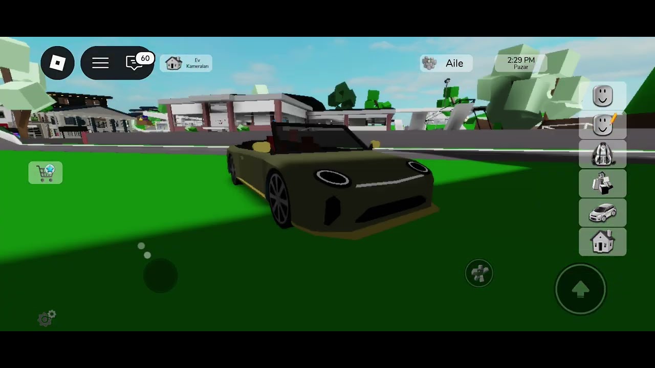 Sizin istəyinizə görə çəkdim