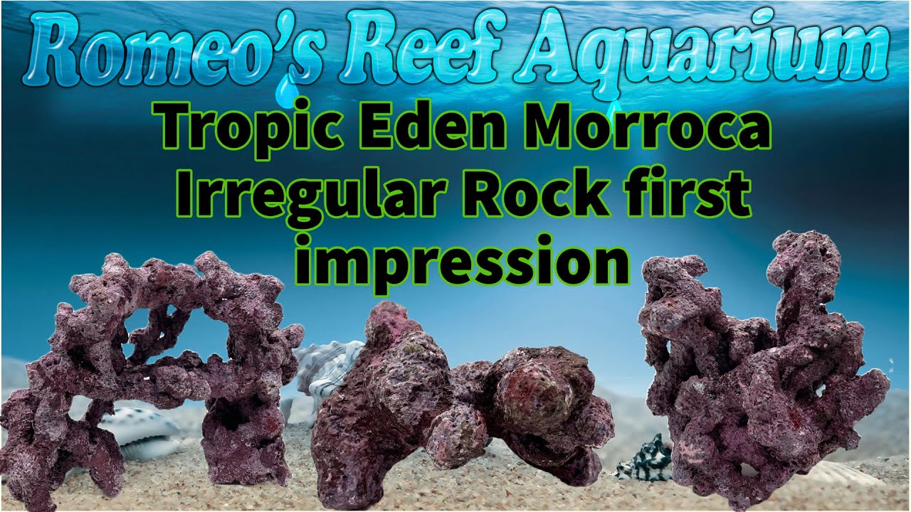 Trying out Tropic Eden Morroca rock from Premium Aquatics