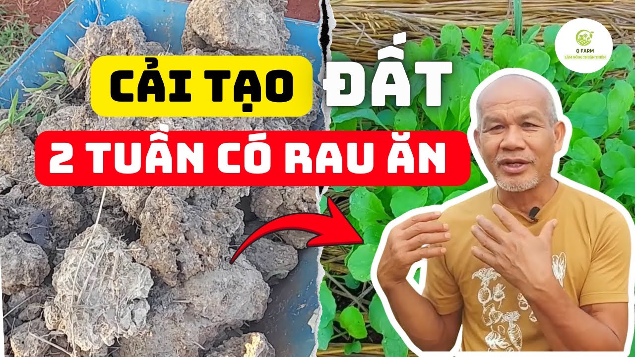 Cách CẢI TẠO đất trồng rau trên ĐẤT SÉT– Vườn rau sạch SIÊU NHANH– Jon Jandai