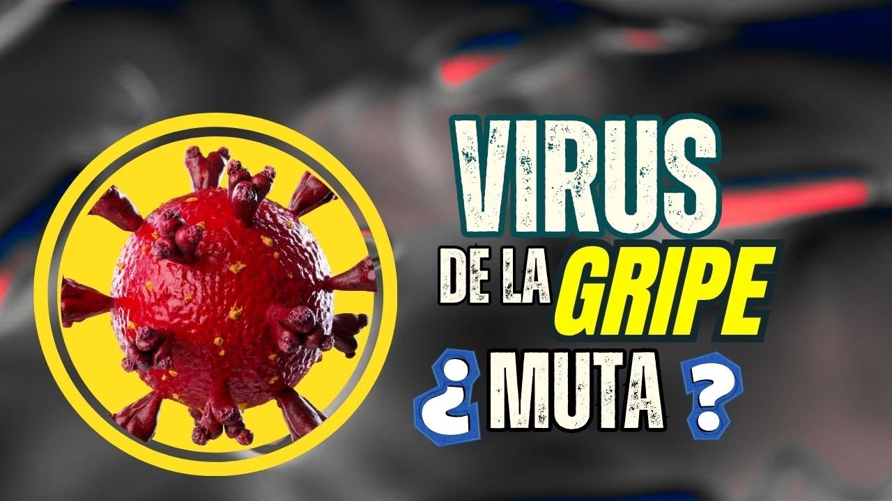 &iquest;NUEVA CEPA GRIPE? OMS DA ALERTA !!!