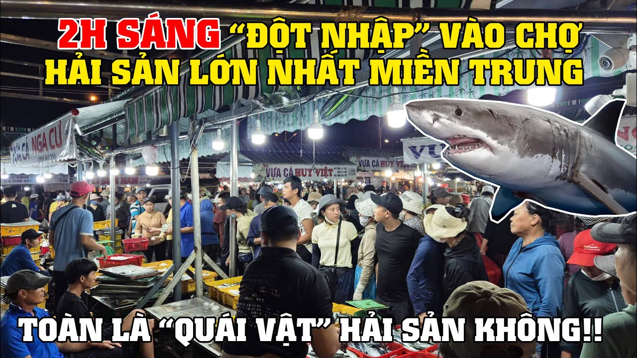 2H Sáng "Đột Nhập" Vài Chợ Hải Sản Lớn Nhất Miền Trung - Chợ Thọ Quang! Quá Trời Hải Sản Luôn Rồi!