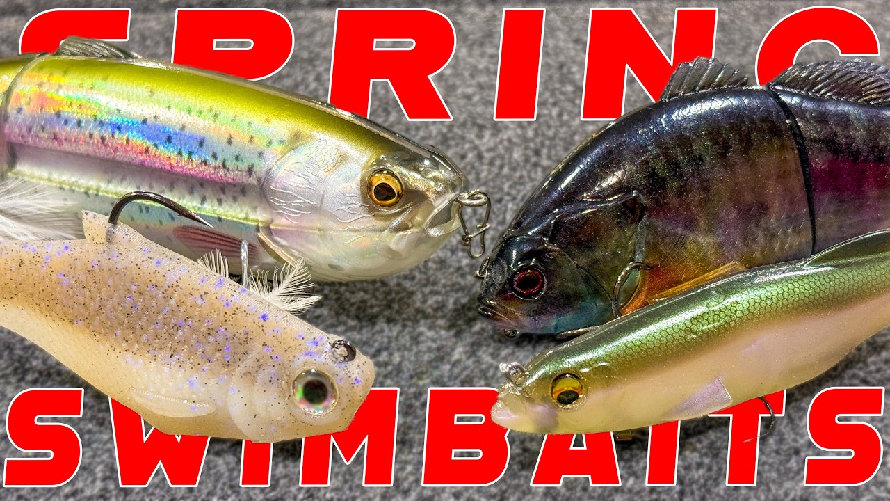 SPRING SWIMBAITS FOR BASS! Best Baits, Techniques, Full Seminar!