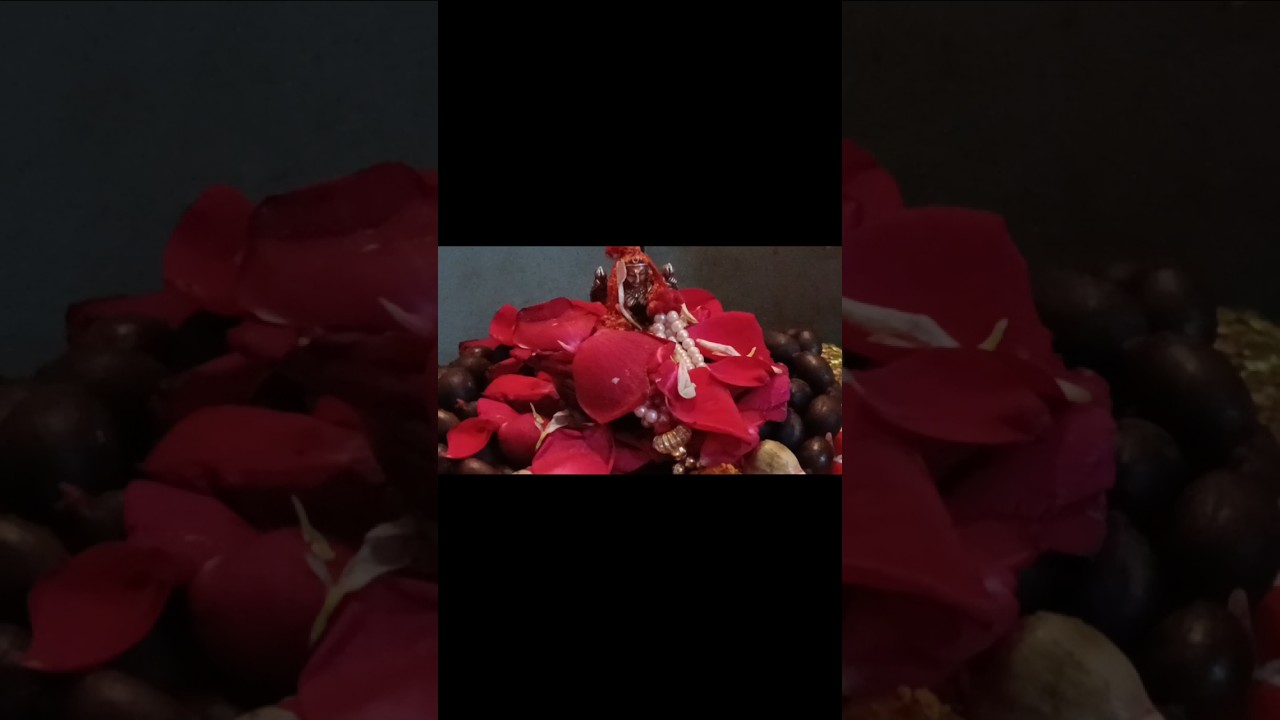 Akshay Tritiya Pooja #love#god#akshaytritiya #wedding#goddess#savan #pooja#festival#puja #viral