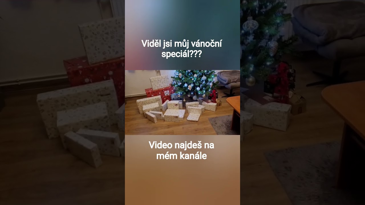 COPAK JSEM DOSTAL NA VÁNOCE??? 