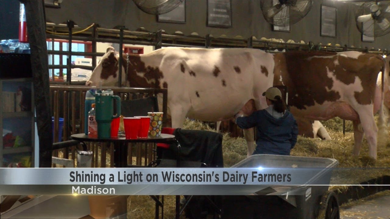Dairy Farmers of Wisconsin launch &lsquo;Born to Dairy&rsquo; campaign at World Dairy Expo