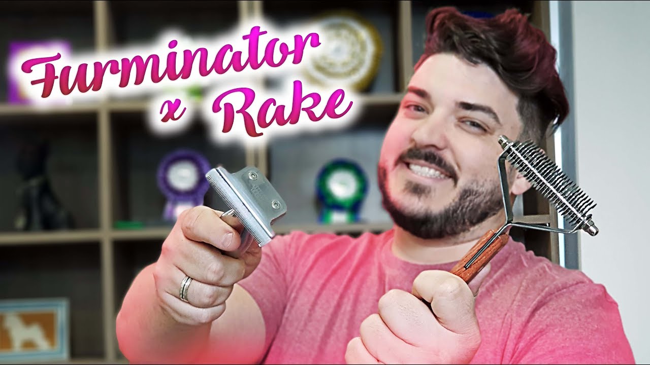 Diferenças entre Furminator e Rake !  Vlog #2