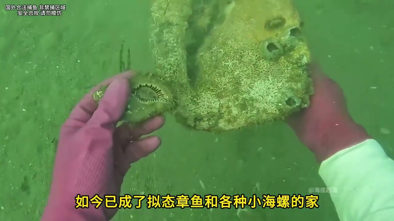 深海探宝：海底捕捞的顶级海鲜
