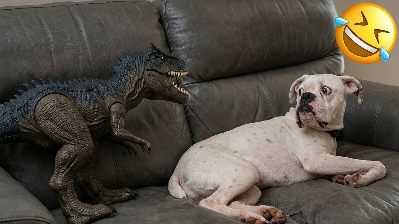 Funniest Pets of 2026 🤣 The Best Funny Cats and Dogs 🐈🐕