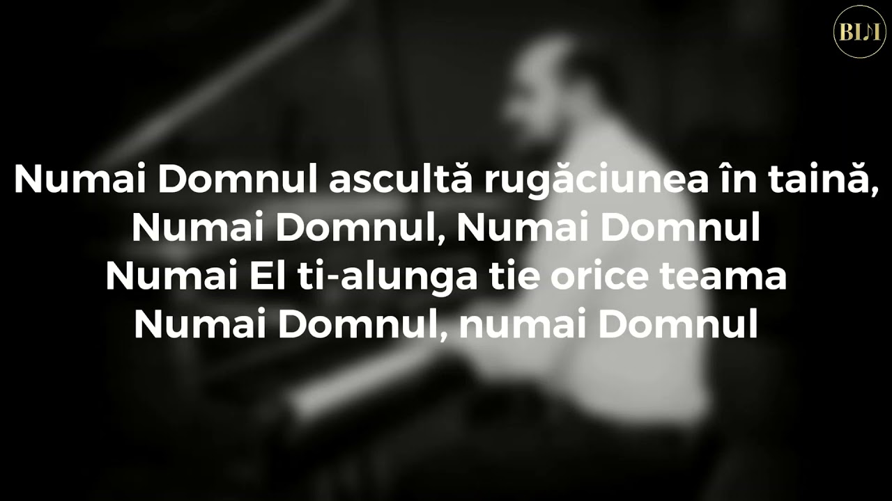 Negativ  NUMAI EL TE INTELEGE  Original Biji (Ton Faţă)