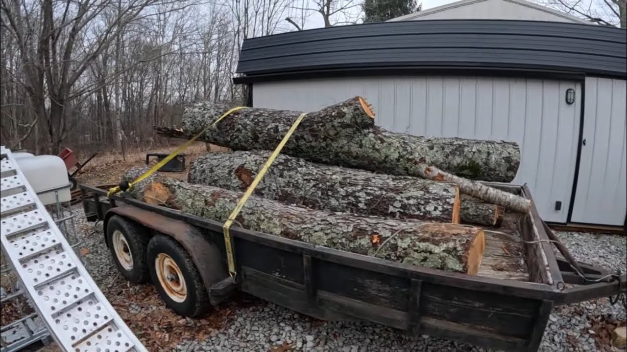 Bad boy Tractor & Big logs! Day 1.