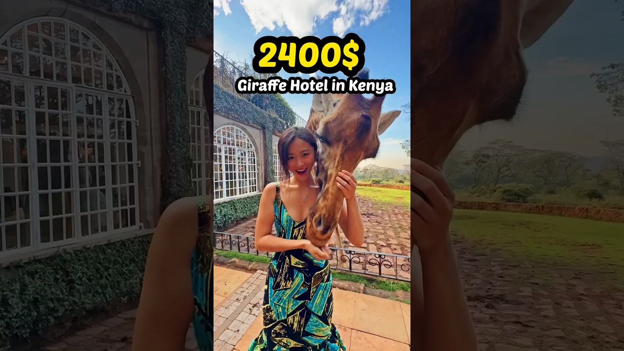 I stayed 24 hours in $2400 giraffe hotel. Do you think it is worth it?