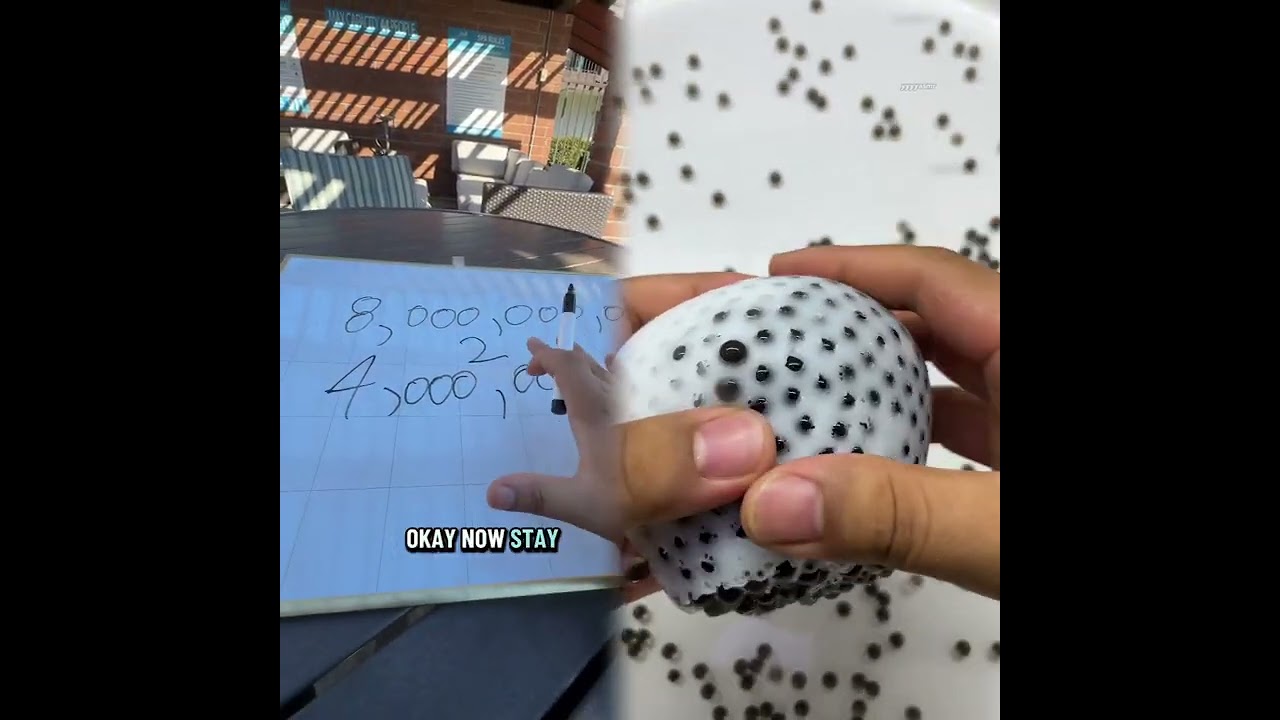 NAH IM SHAKING, I FOUND THE ANSWER TO LIFE! #asmr #life #world #answer #why