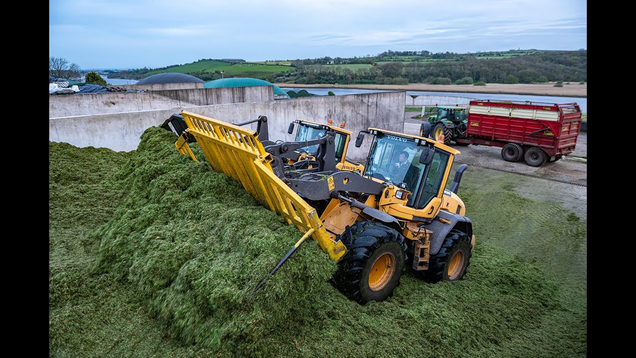 Buckraking Silage | Volvo L90 & L60 Loading Shovels