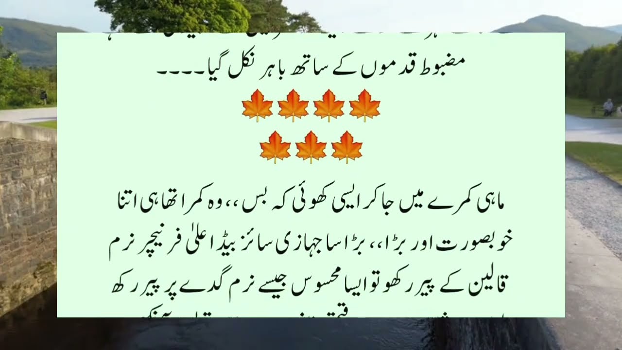 Romantic Novel 