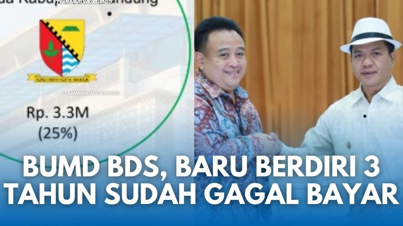 PROFIL BDS BUMD Pemkab Bandung: Dibentuk Bupati DS pada 2022, Diduga Terseret Skandal Gagal Bayar