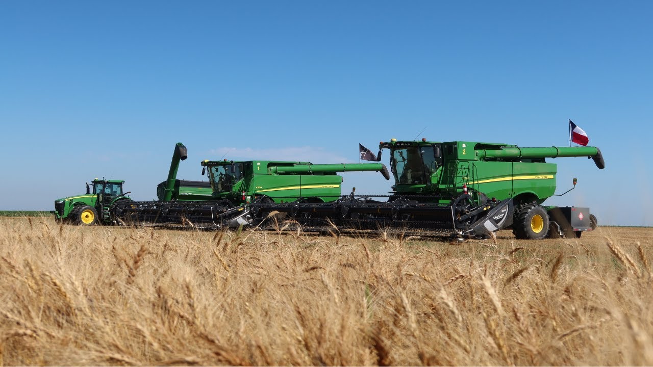 Урожай пшеницы против матери-природы