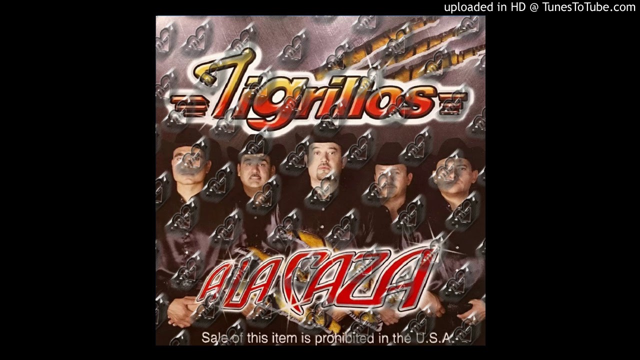 Tigrillos La &Eacute;tica