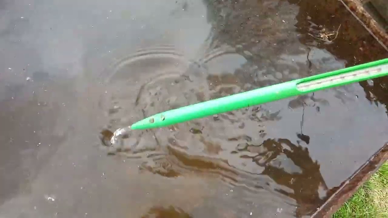 Разгон винограда горячей водой