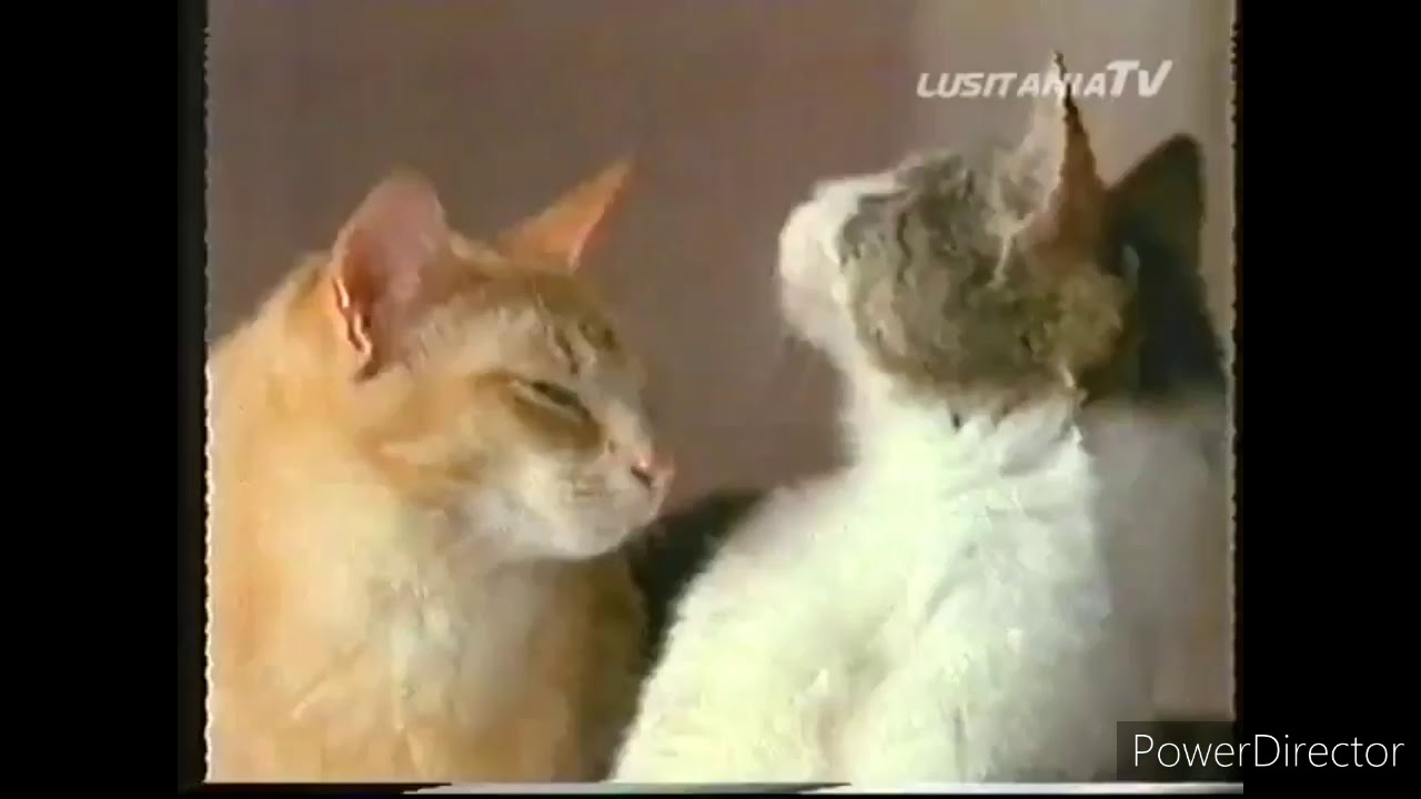 PUB Whiskas (1995)