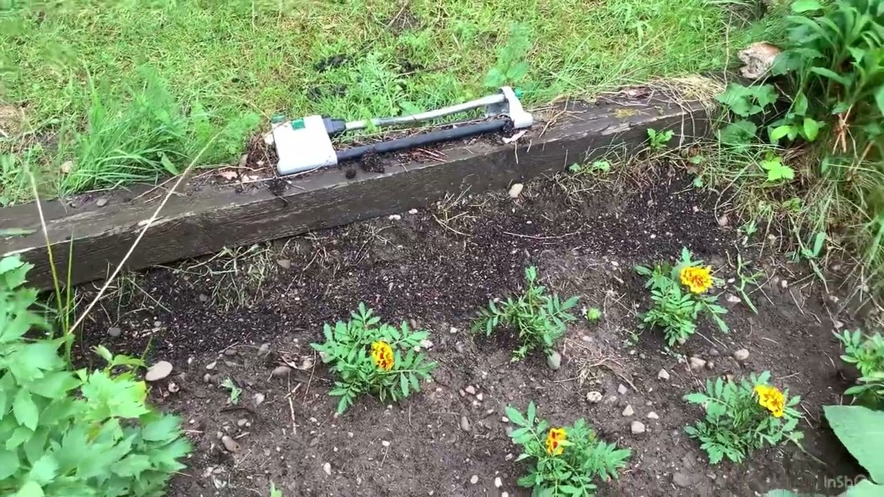 Grüße aus dem