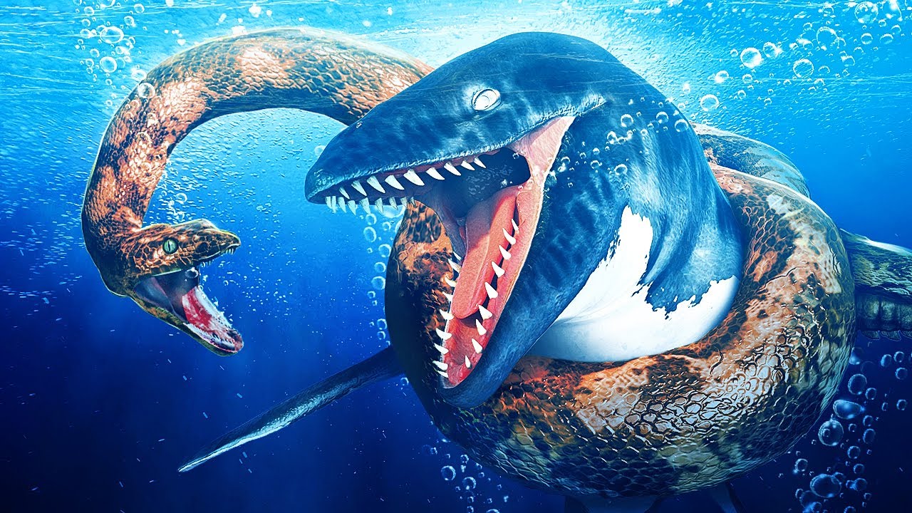 Sea Lizard VS Biggest Snake