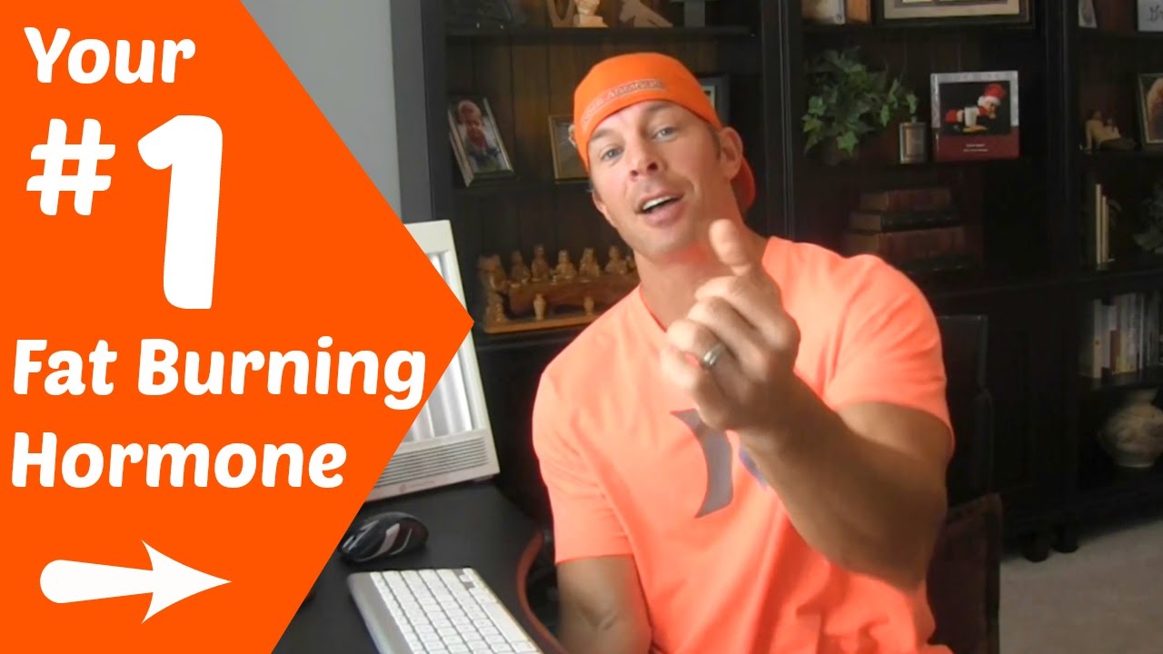 4 Easy Ways To Optimize Your Body&rsquo;s #1 Fat Burning Hormone &ndash; LEPTIN
