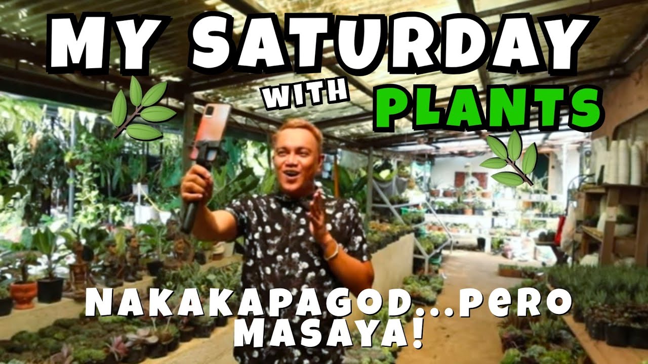 MY SATURDAY WITH PLANTS