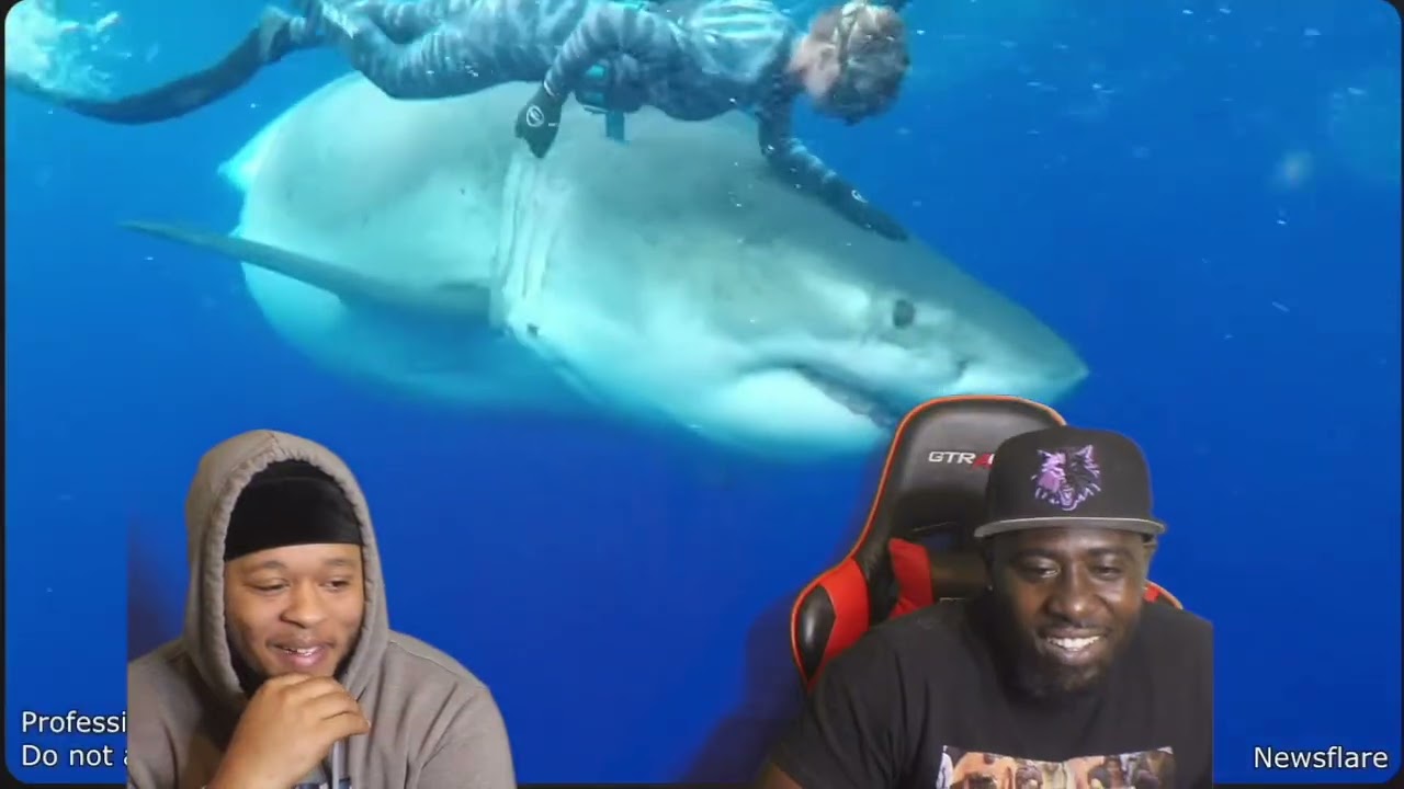 CRAZY!! Animal ENCOUNTERS!!! REACTION!!