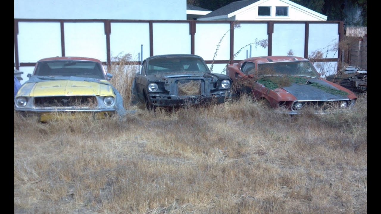 Yard Find Mustangs ! 1969 Mach 1 428 SCJ, 1968 S Fastback, 1965 A Fastback, 1969 Convertible
