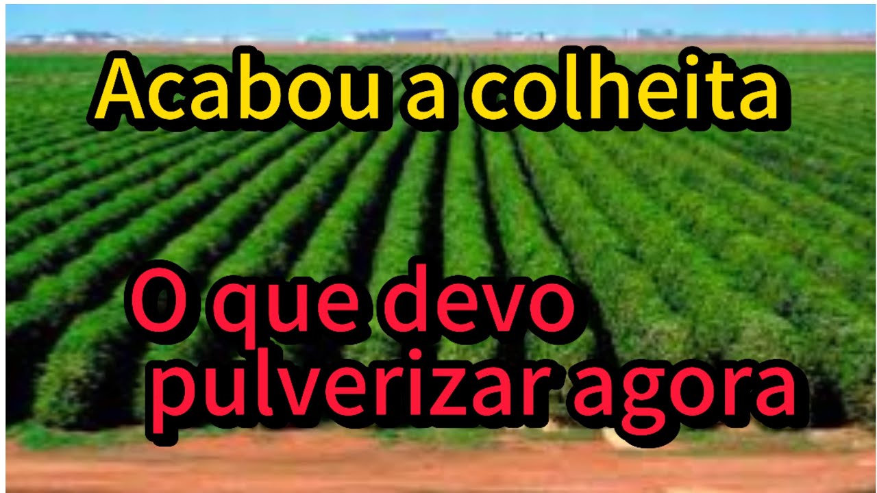 Fungicida, Acaricida ou Inseticida ?O que devo pulverizar no pós safra ?