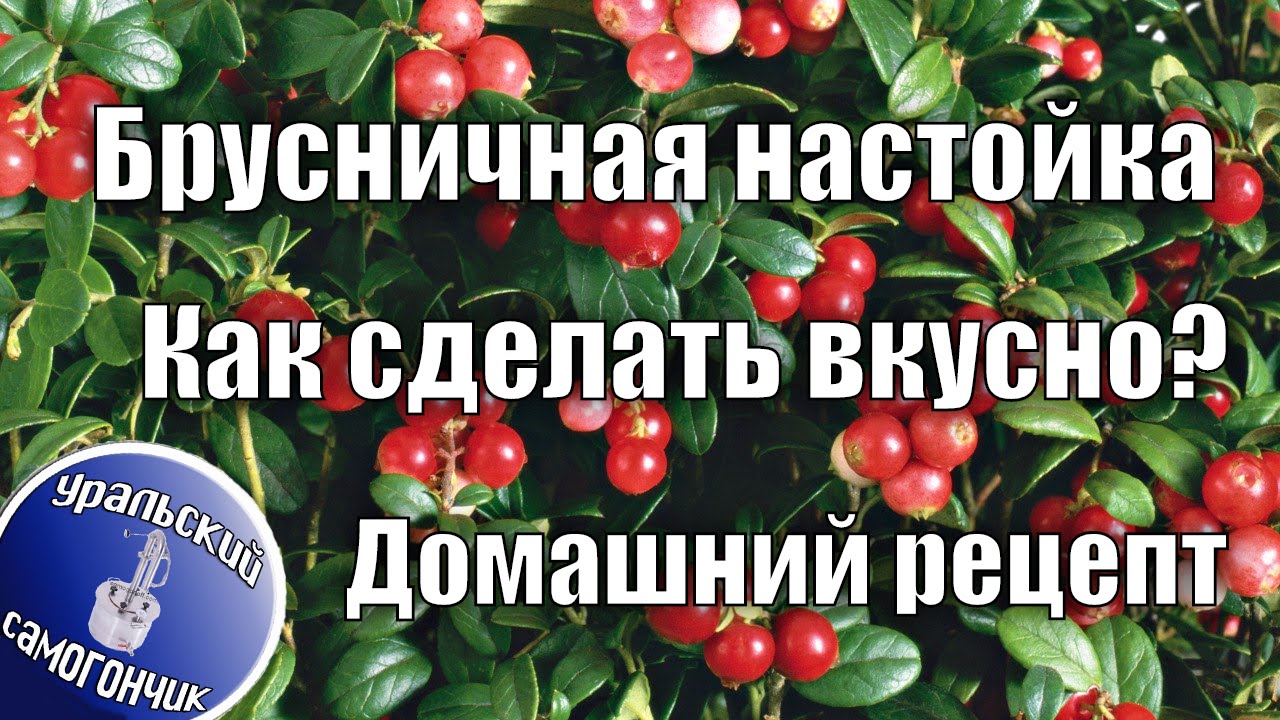 Настойка из Брусники