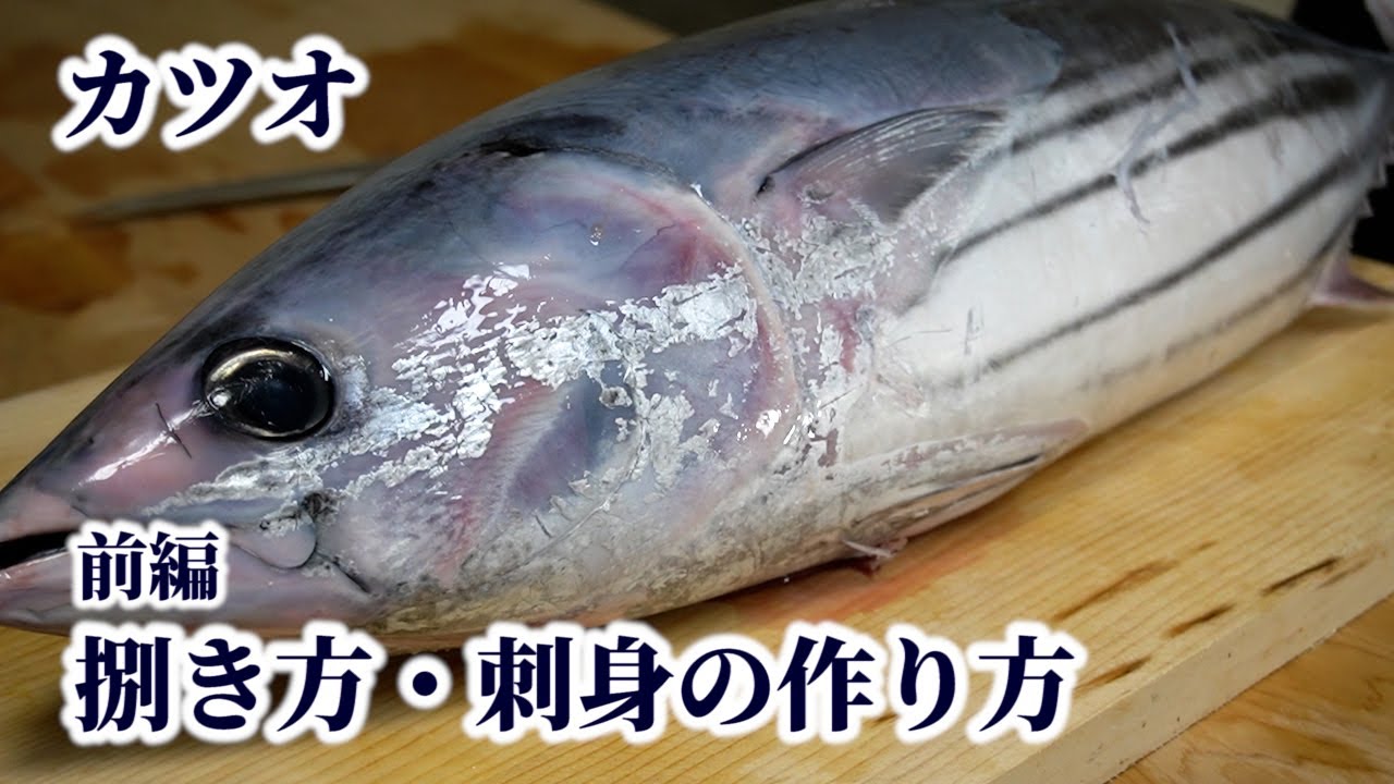 カツオ（鰹）の捌き方！3枚おろし・裏おろしのやり方や【刺身の切り方】を紹介