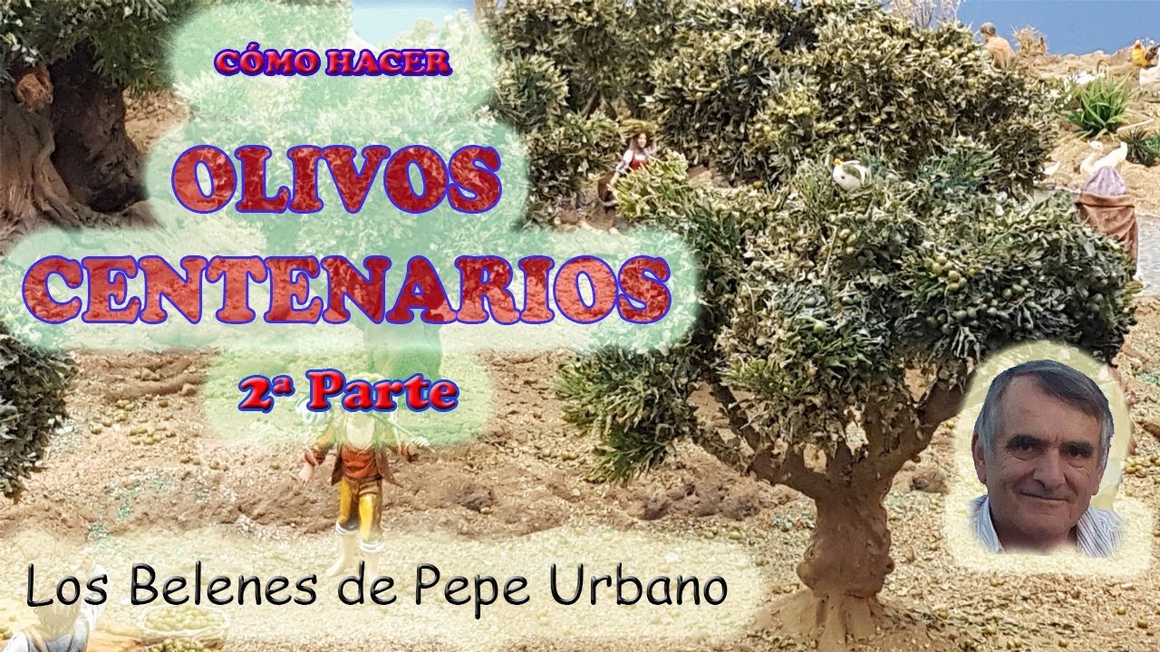 CÓMO HACER OLIVOS CENTENARIOS 2ª PARTE
