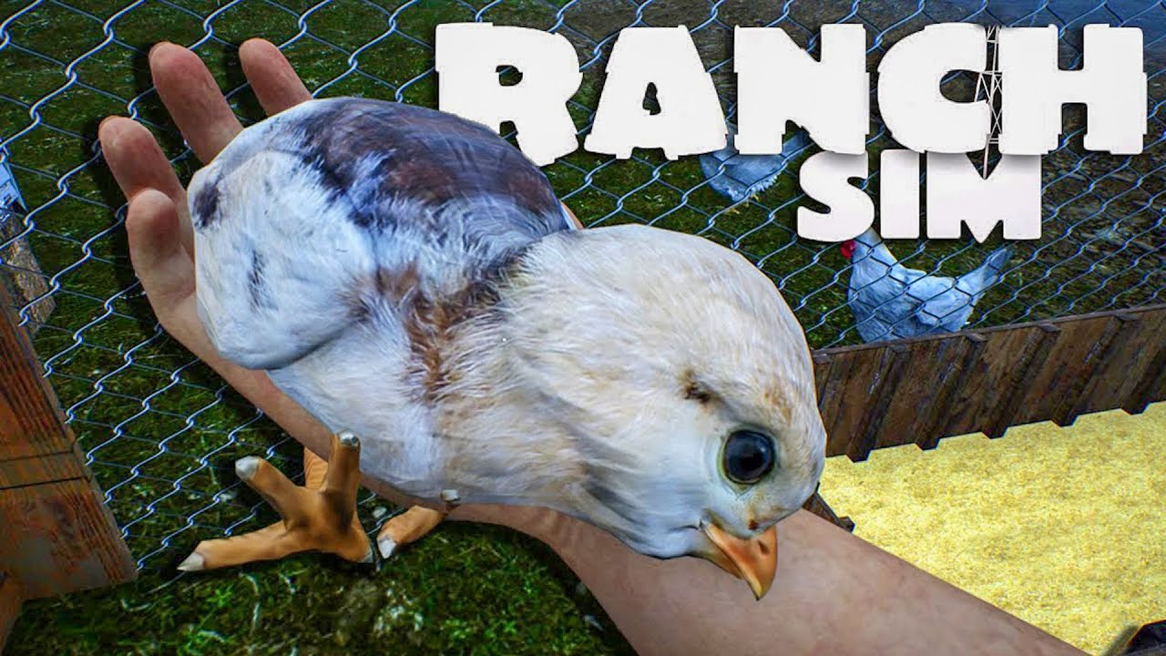 YENİ CİVCİV ÇIKARMA | RANCH SİMULATOR | vadinin sahibi