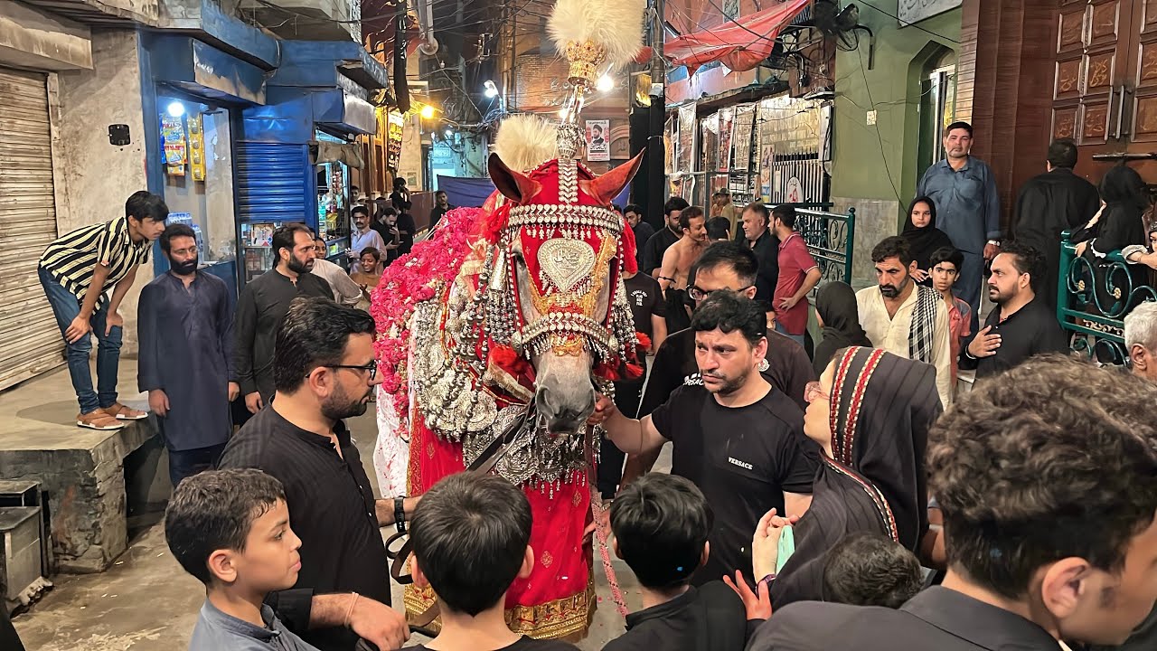 Baramdagi Shabe Zuljanah 2 Safar 2025 Mohalla Shia Mochi gate Lahore #foryou #zuljinahbadshah #2025