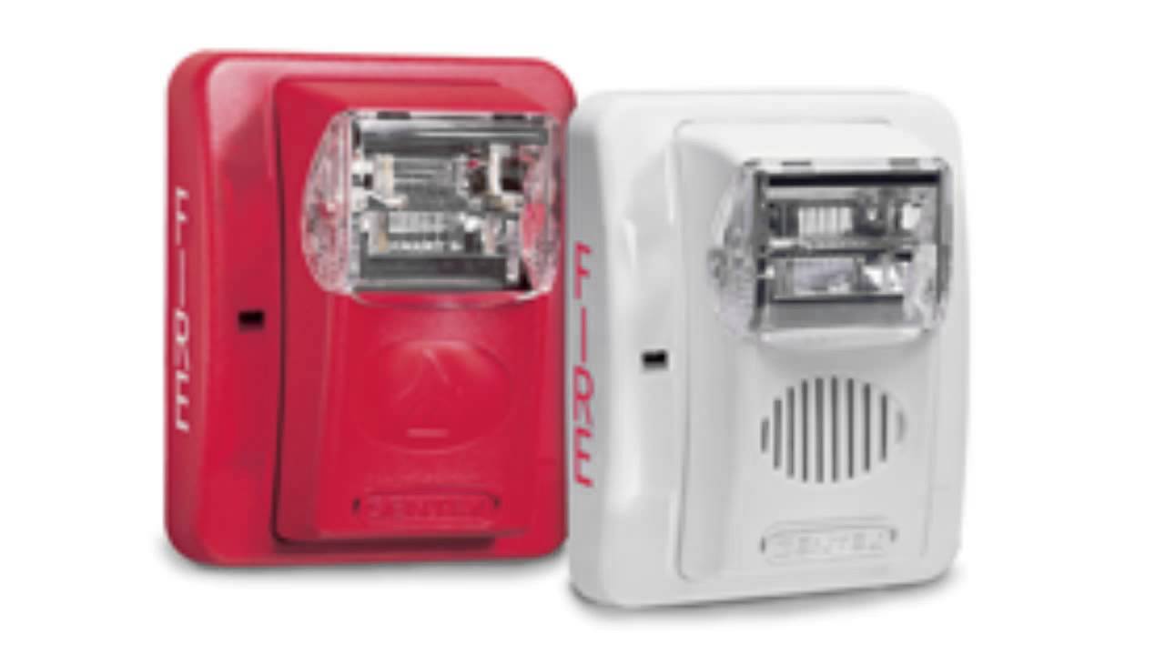 Audio Clip: Gentex Commander 3 - Code 3 Horn