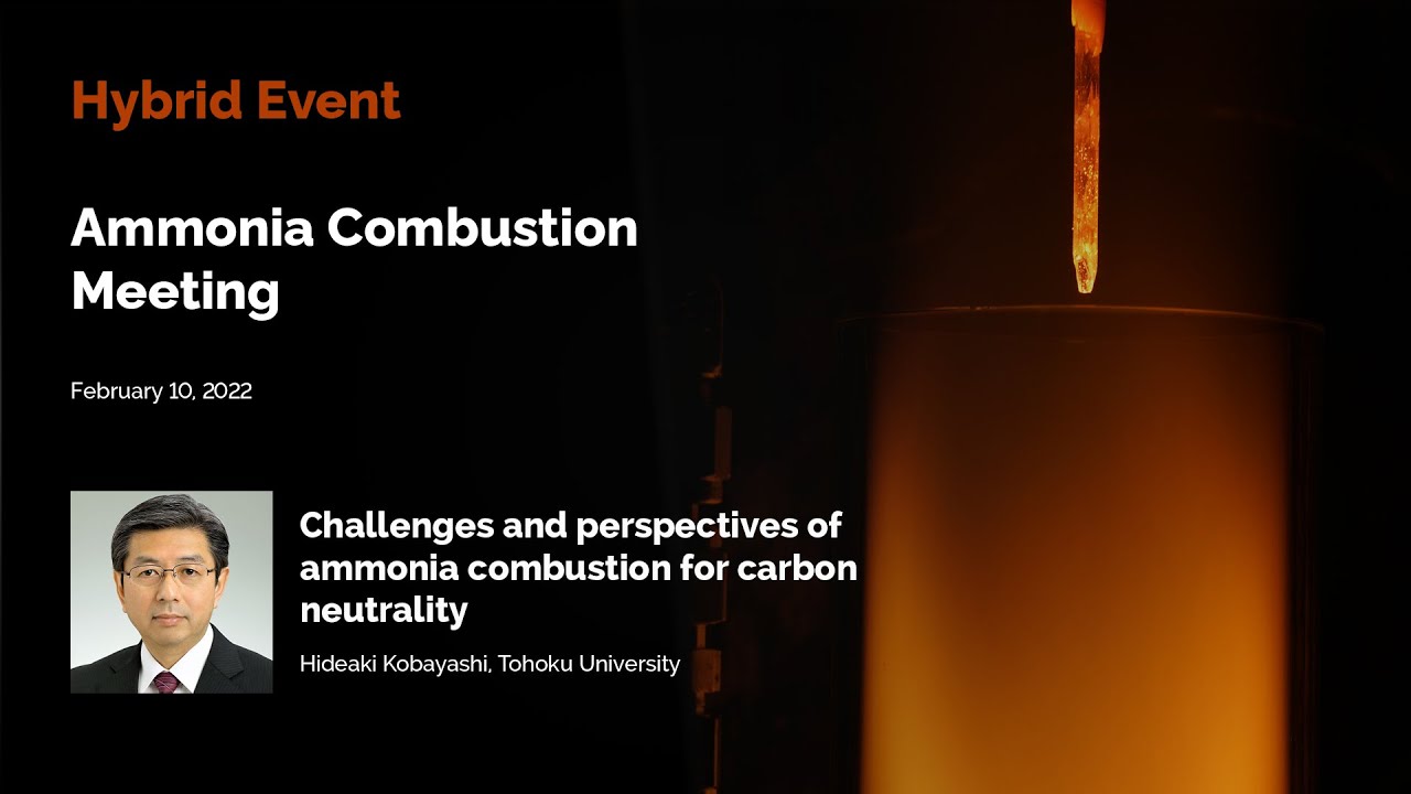 Challenges and perspectives of ammonia combustion for carbon neutrality